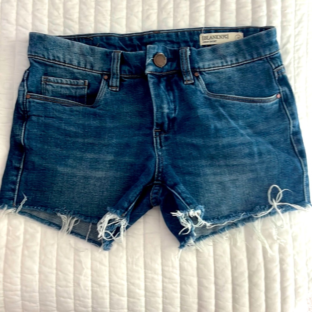 BlankNYC distressed Hiker shorts 24